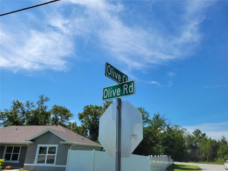 OLIVE CT., OCALA, Florida 34472, ,Land,For Sale,OLIVE CT.,G5046639