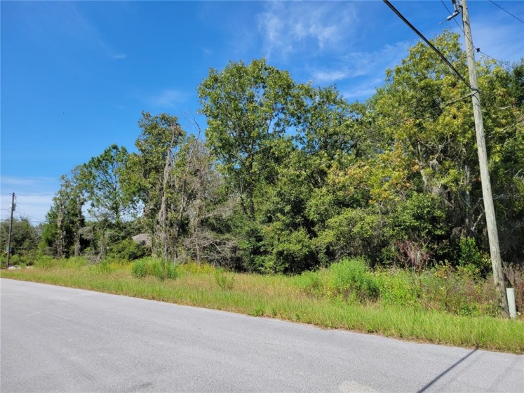 OLIVE CT., OCALA, Florida 34472, ,Land,For Sale,OLIVE CT.,G5046639