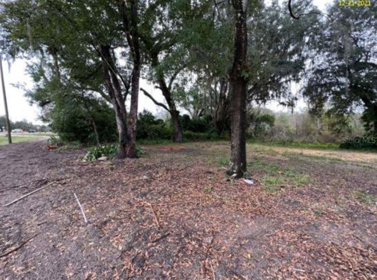 1216 US HWY 17 92, DAVENPORT, Florida 33837, ,Land,For Sale,US HWY 17 92,O5998582