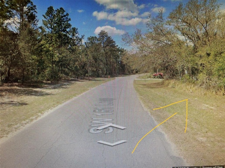 0 151 LOOP, OCALA, Florida 34473, ,Land,For Sale,151,O6010875