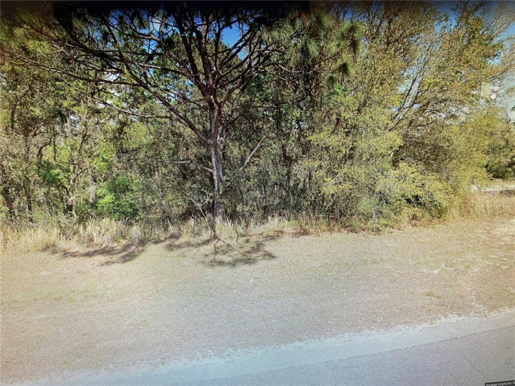 0 151 LOOP, OCALA, Florida 34473, ,Land,For Sale,151,O6010875