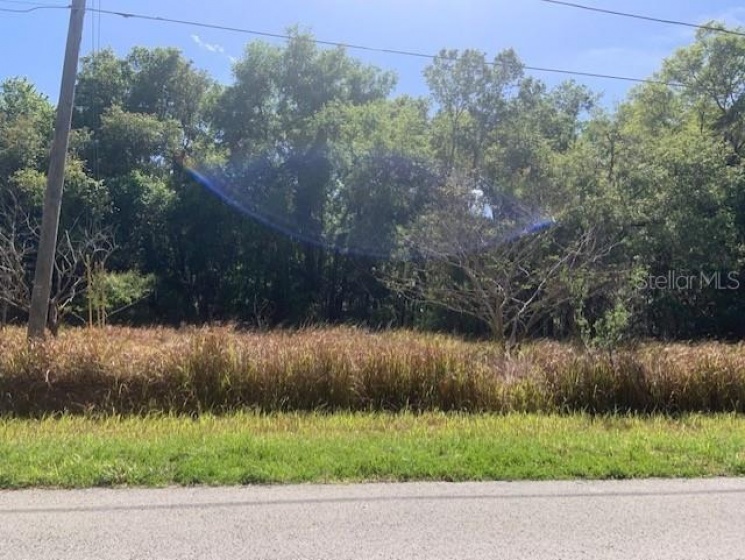 TBD SPRING LOOP CT, OCALA, Florida 34472, ,Land,For Sale,SPRING LOOP CT,OM636173