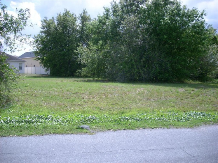 25 CATALINA COURT, KISSIMMEE, Florida 34758, ,Land,For Sale,CATALINA,S5064649
