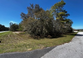 OCALA, Florida 34473, ,Land,For Sale,OM636223