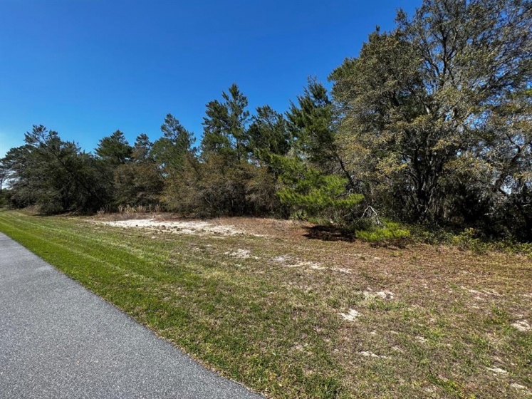 OCALA, Florida 34473, ,Land,For Sale,OM636223