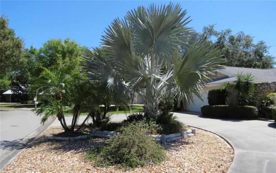 3797 COUNTRYSIDE ROAD, SARASOTA, Florida 34233, 3 Bedrooms Bedrooms, ,2 BathroomsBathrooms,Residential,For Sale,COUNTRYSIDE,A4529109