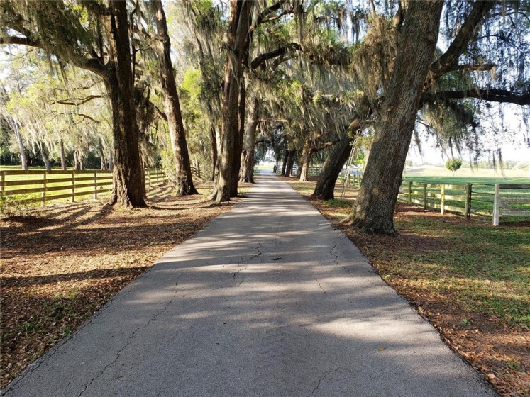 1950 77TH STREET, OCALA, Florida 34475, 4 Bedrooms Bedrooms, ,3 BathroomsBathrooms,Residential,For Sale,77TH,OM636262