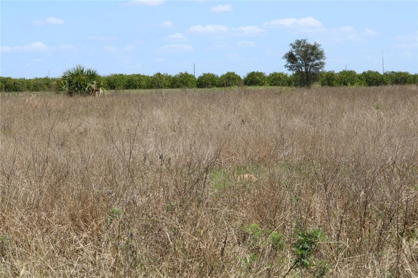 SCENIC HIGHWAY, HAINES CITY, Florida 33844, ,Land,For Sale,SCENIC,L4928787