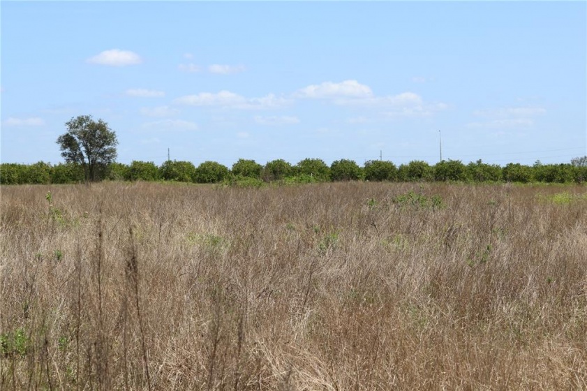SCENIC HIGHWAY, HAINES CITY, Florida 33844, ,Land,For Sale,SCENIC,L4928791