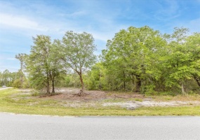 0 FLORIDA BOYS RANCH RD, CLERMONT, Florida 34711, ,Land,For Sale,FLORIDA BOYS RANCH RD,O6012188