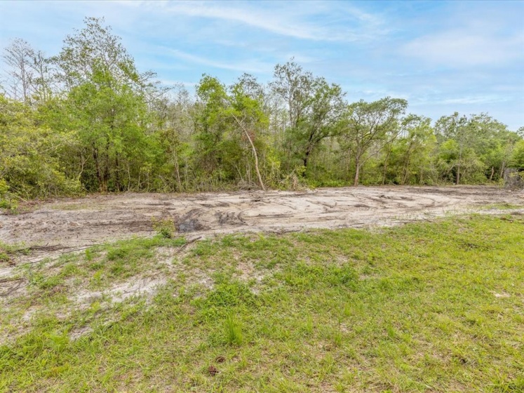 0 FLORIDA BOYS RANCH RD, CLERMONT, Florida 34711, ,Land,For Sale,FLORIDA BOYS RANCH RD,O6012188