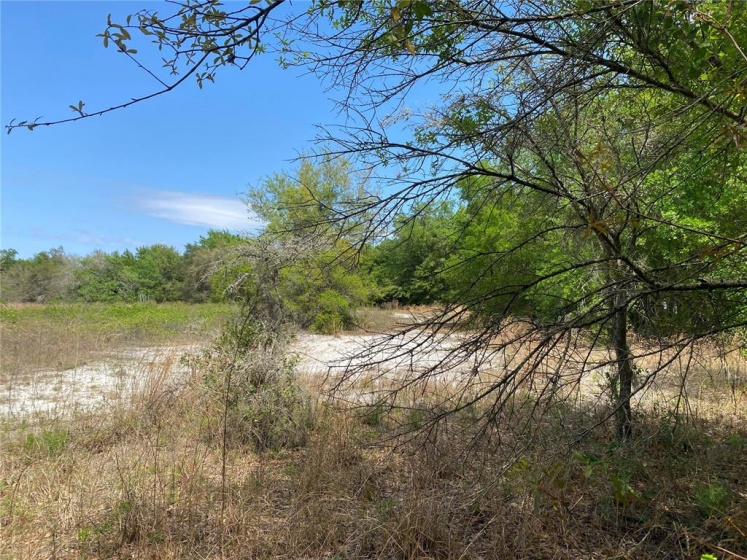 5725 LAKE LIZZIE DRIVE, SAINT CLOUD, Florida 34771, ,Land,For Sale,LAKE LIZZIE,S5064627