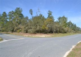 00 168TH LOOP, OCALA, Florida 34473, ,Land,For Sale,168TH,OM636271