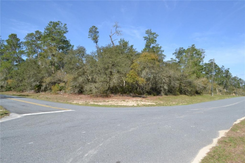 00 168TH LOOP, OCALA, Florida 34473, ,Land,For Sale,168TH,OM636271