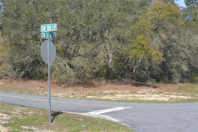 00 168TH LOOP, OCALA, Florida 34473, ,Land,For Sale,168TH,OM636271