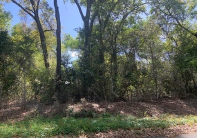 TBD WATER TRACK TRL, OCALA, Florida 34472, ,Land,For Sale,WATER TRACK TRL,OM636276