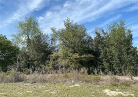 00 SW 158 PLACE, OCALA, Florida 34473, ,Land,For Sale,SW 158,V4923633