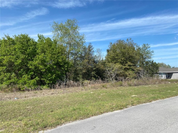 00 SW 158 PLACE, OCALA, Florida 34473, ,Land,For Sale,SW 158,V4923633
