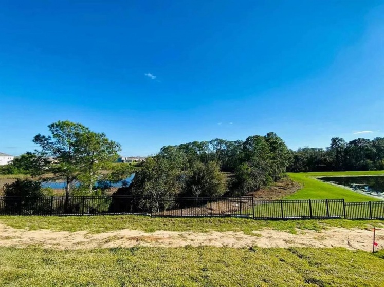 18216 OLIVER TWIST WAY, WINTER GARDEN, Florida 34787, 4 Bedrooms Bedrooms, ,4 BathroomsBathrooms,Residential,For Sale,OLIVER TWIST,GC503606