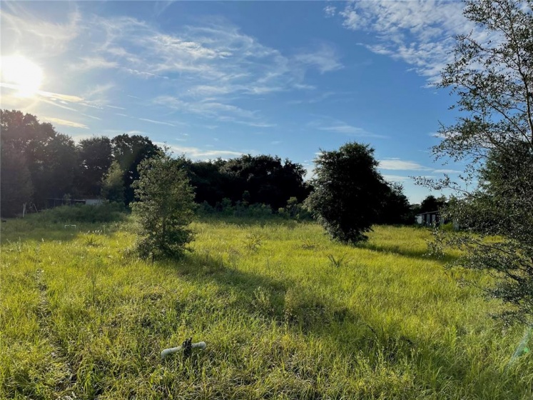 4650 AG ROAD, GROVELAND, Florida 34736, ,Land,For Sale,AG,OM636345