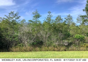 WEMBLEY AVENUE, ORLANDO, Florida 32833, ,Land,For Sale,WEMBLEY,O6009324