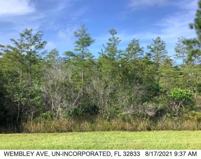 WEMBLEY AVENUE, ORLANDO, Florida 32833, ,Land,For Sale,WEMBLEY,O6009324