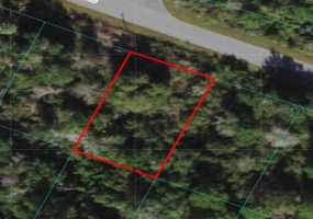 TBD EMERALD ROAD, OCALA, Florida 34472, ,Land,For Sale,EMERALD,OM636379
