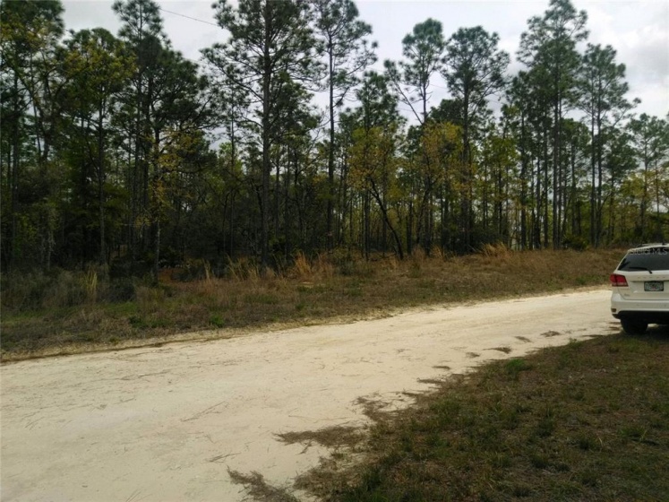 22ND LANE, OCALA, Florida 34481, ,Land,For Sale,22ND,OM636385