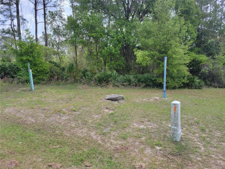1305 NELSON PARK COURT, POINCIANA, Florida 34759, ,Land,For Sale,NELSON PARK,O6013134