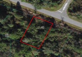 TBD EMERALD, OCALA, Florida 34472, ,Land,For Sale,EMERALD,OM636389
