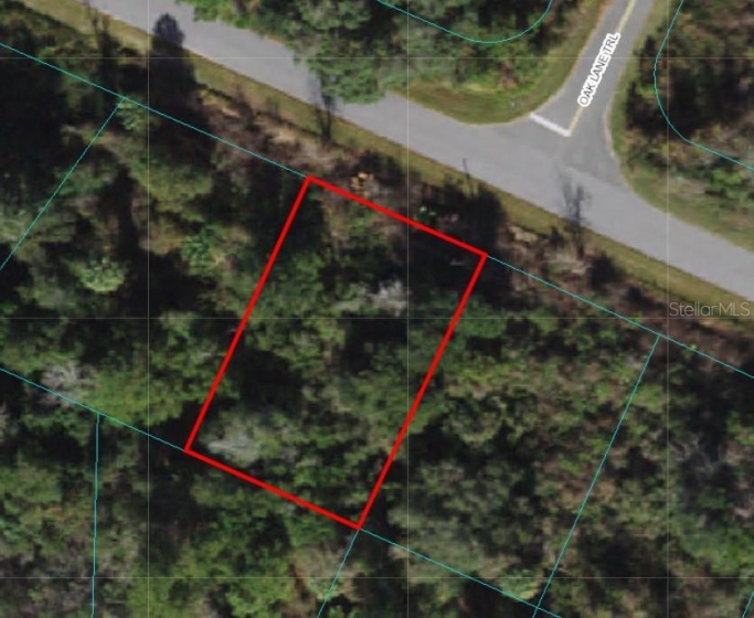 TBD EMERALD, OCALA, Florida 34472, ,Land,For Sale,EMERALD,OM636389