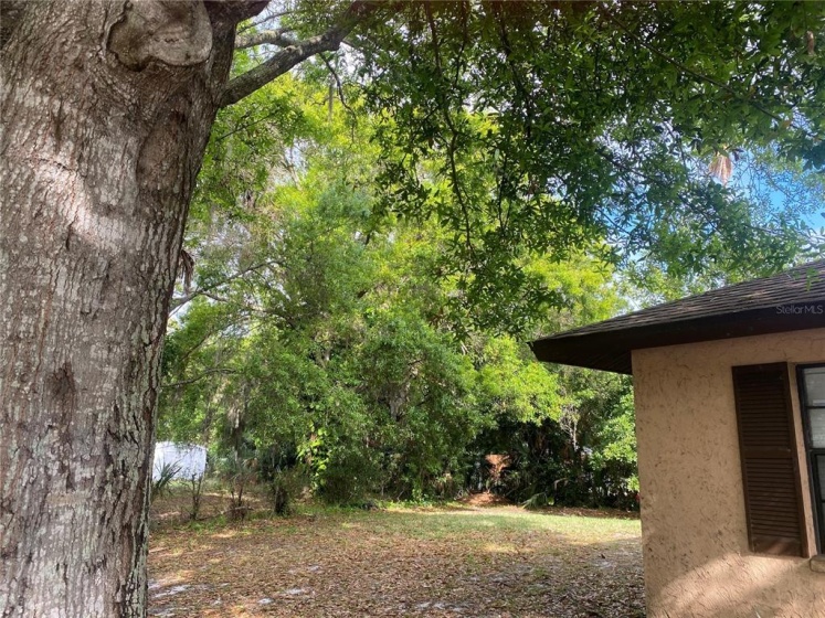 2315 SPRING OAKS COURT, SARASOTA, Florida 34234, 3 Bedrooms Bedrooms, ,2 BathroomsBathrooms,Residential,For Sale,SPRING OAKS,A4529500