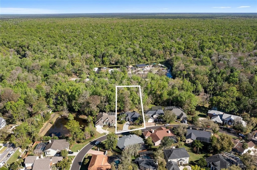 965 BEARDED OAKS TERRACE, LONGWOOD, Florida 32779, 4 Bedrooms Bedrooms, ,3 BathroomsBathrooms,Residential,For Sale,BEARDED OAKS,O6011073