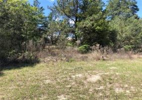 TBD 129TH LOOP, OCALA, Florida 34473, ,Land,For Sale,129TH,OM636316