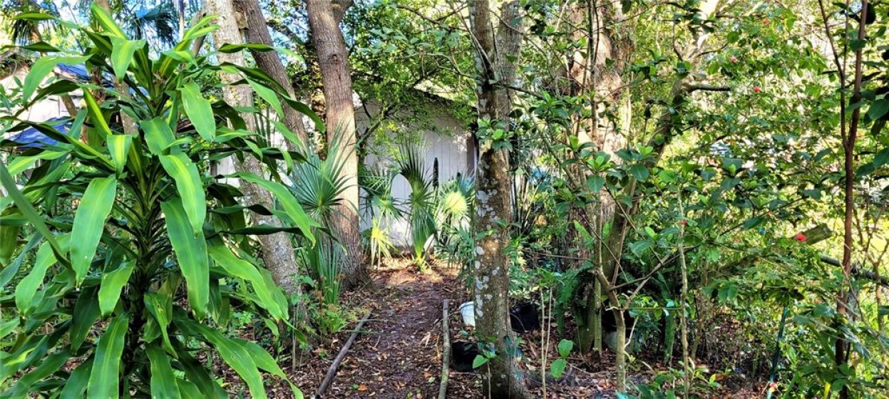 40 CENTRAL AVENUE, APOPKA, Florida 32703, 3 Bedrooms Bedrooms, ,1 BathroomBathrooms,Residential,For Sale,CENTRAL,O6012806