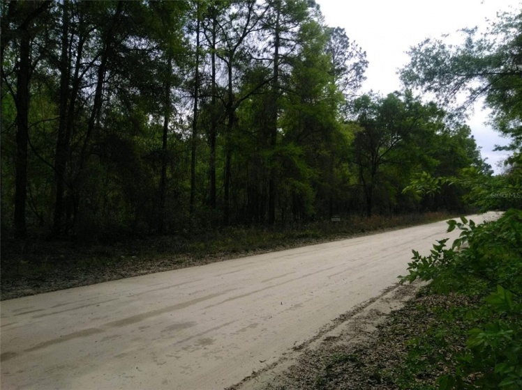 0 161 CT ROAD, OCALA, Florida 34481, ,Land,For Sale,161 CT,OM636365