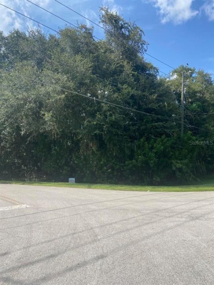 GRANADA BOULEVARD, KISSIMMEE, Florida 34746, ,Land,For Sale,GRANADA,O5968262