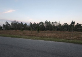 Paddock St, #12A PADDOCK STREET, ORLANDO, Florida 32833, ,Land,For Sale,PADDOCK,O6007856