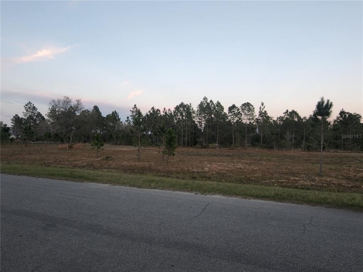 Paddock St, #12A PADDOCK STREET, ORLANDO, Florida 32833, ,Land,For Sale,PADDOCK,O6007856