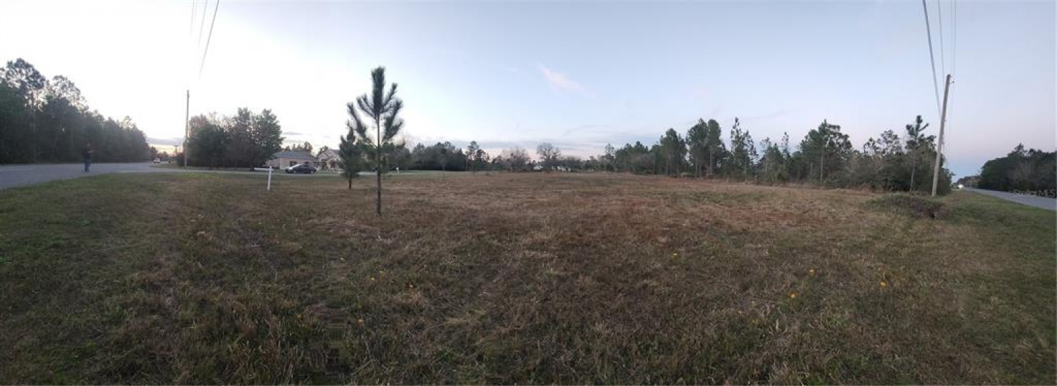 Paddock St, #12A PADDOCK STREET, ORLANDO, Florida 32833, ,Land,For Sale,PADDOCK,O6007856