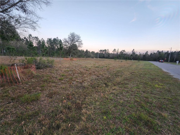 Paddock St, #12A PADDOCK STREET, ORLANDO, Florida 32833, ,Land,For Sale,PADDOCK,O6007856