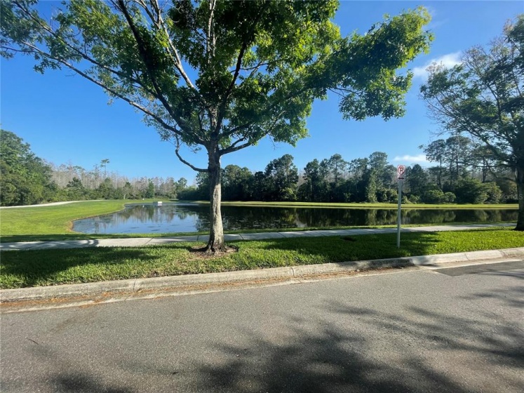 6518 PASTURELANDS PLACE, WINTER GARDEN, Florida 34787, 4 Bedrooms Bedrooms, ,3 BathroomsBathrooms,Residential,For Sale,PASTURELANDS,O6011934