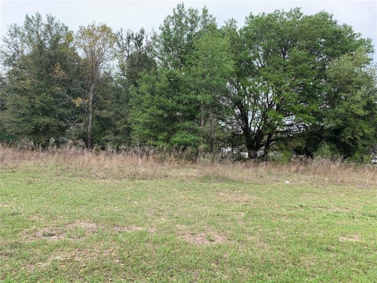 TBD MARION OAKS TRAIL, OCALA, Florida 34473, ,Land,For Sale,MARION OAKS,GC503610