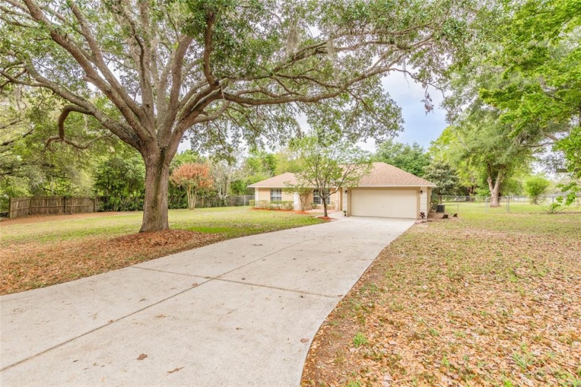 18549 LAKE EMMA DRIVE, GROVELAND, Florida 34736, 3 Bedrooms Bedrooms, ,2 BathroomsBathrooms,Residential,For Sale,LAKE EMMA,O6011947