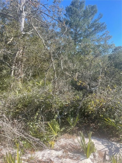 63 ORCHID COURT, POINCIANA, Florida 34759, ,Land,For Sale,ORCHID COURT,G5053232