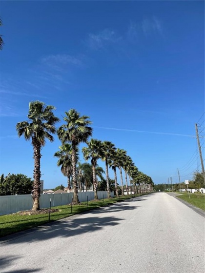 252 BELLA VERANO WAY, DAVENPORT, Florida 33897, 4 Bedrooms Bedrooms, ,3 BathroomsBathrooms,Residential,For Sale,BELLA VERANO,S5064765