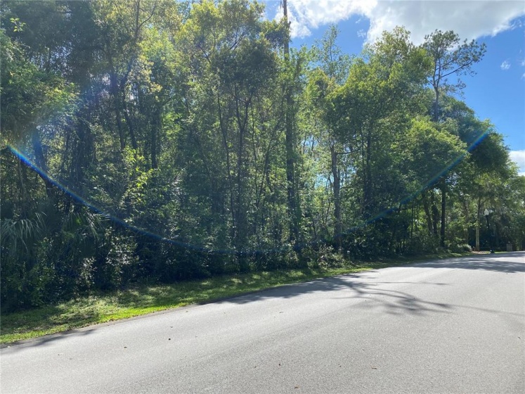 Lot 117 12TH CIRCLE, OCALA, Florida 34480, ,Land,For Sale,12TH,OM636387