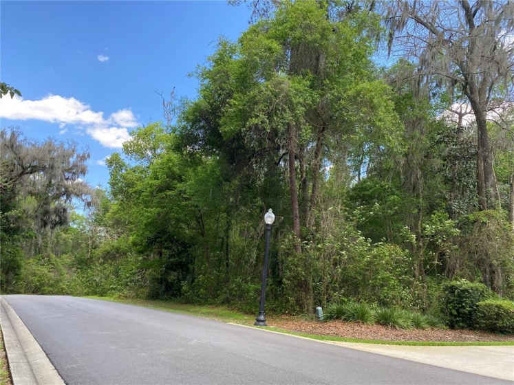 Lot 117 12TH CIRCLE, OCALA, Florida 34480, ,Land,For Sale,12TH,OM636387