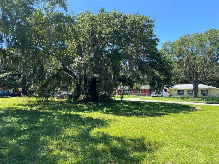 275 JEAN STREET, WINTER GARDEN, Florida 34787, ,Land,For Sale,JEAN,O6013495
