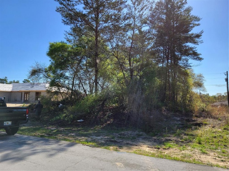 0 25TH TERRACE, OCALA, Florida 34473, ,Land,For Sale,25TH,OM636414